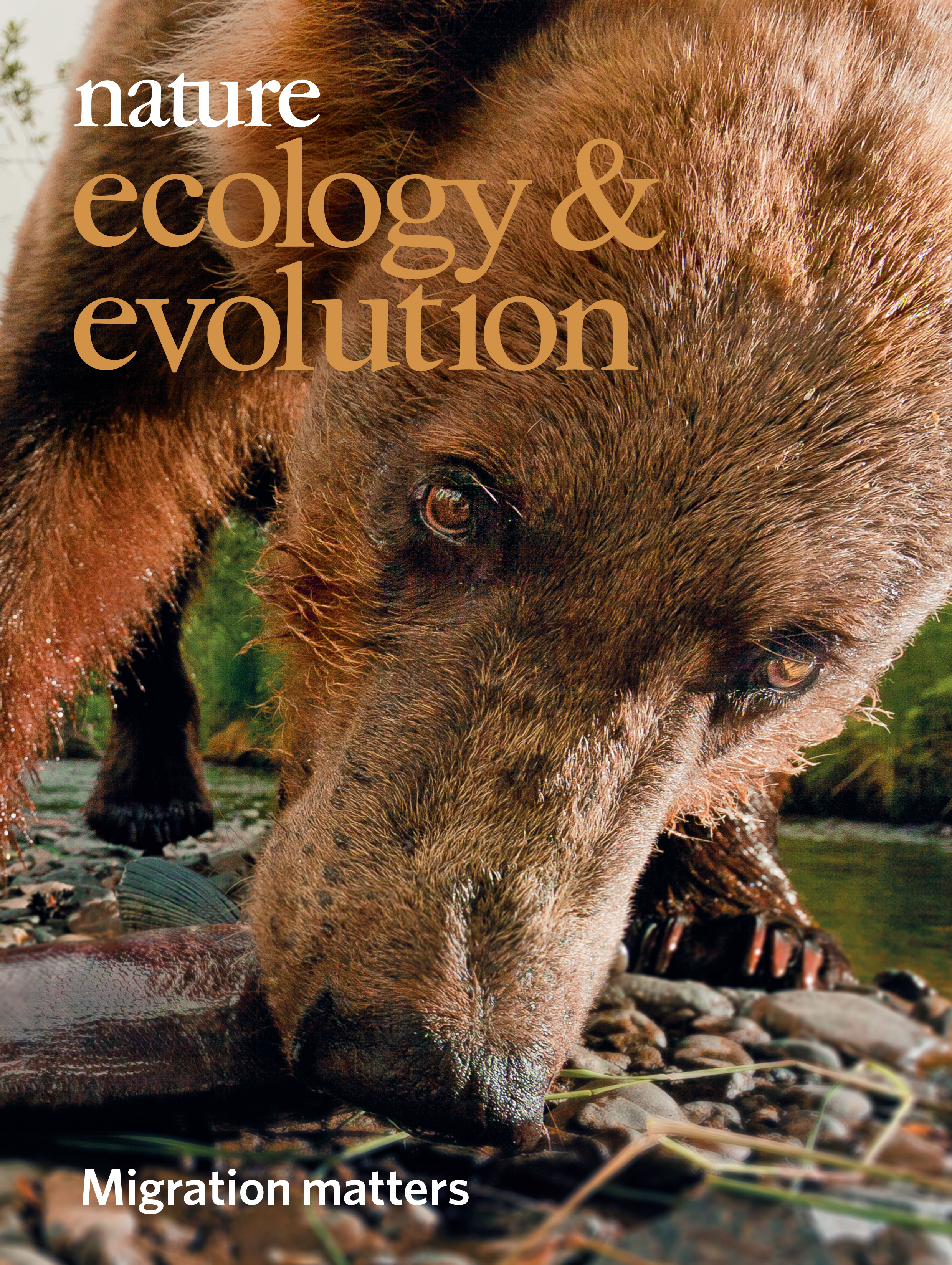 Gallery | December 2018 cover