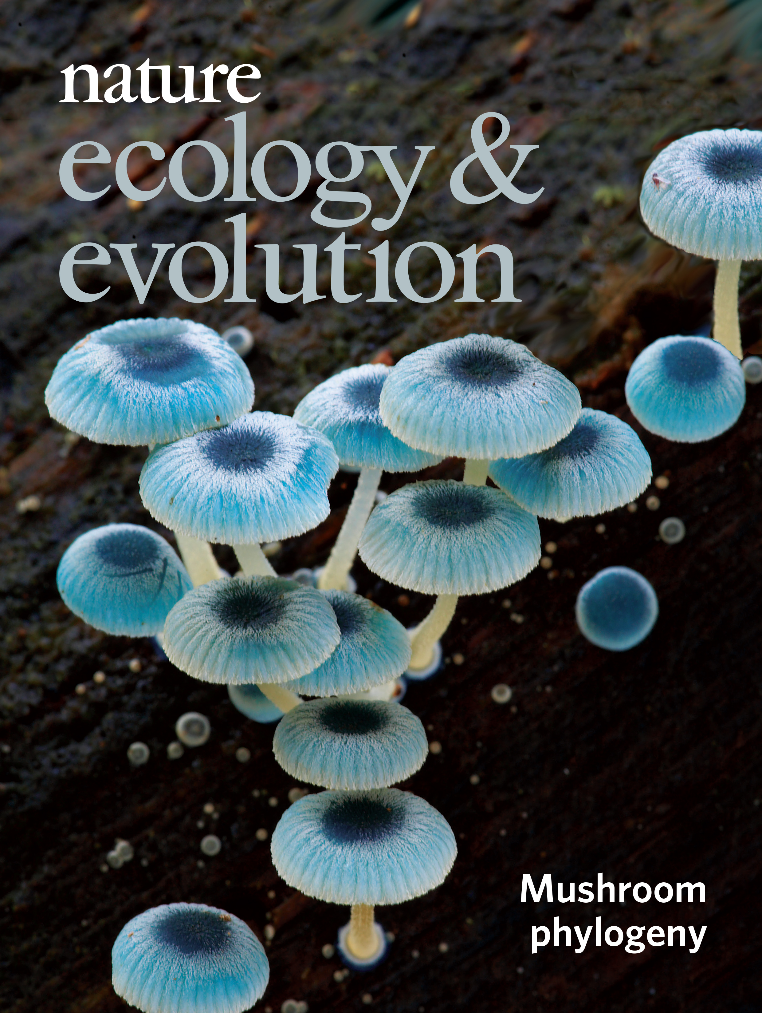 Gallery | April 2019 cover