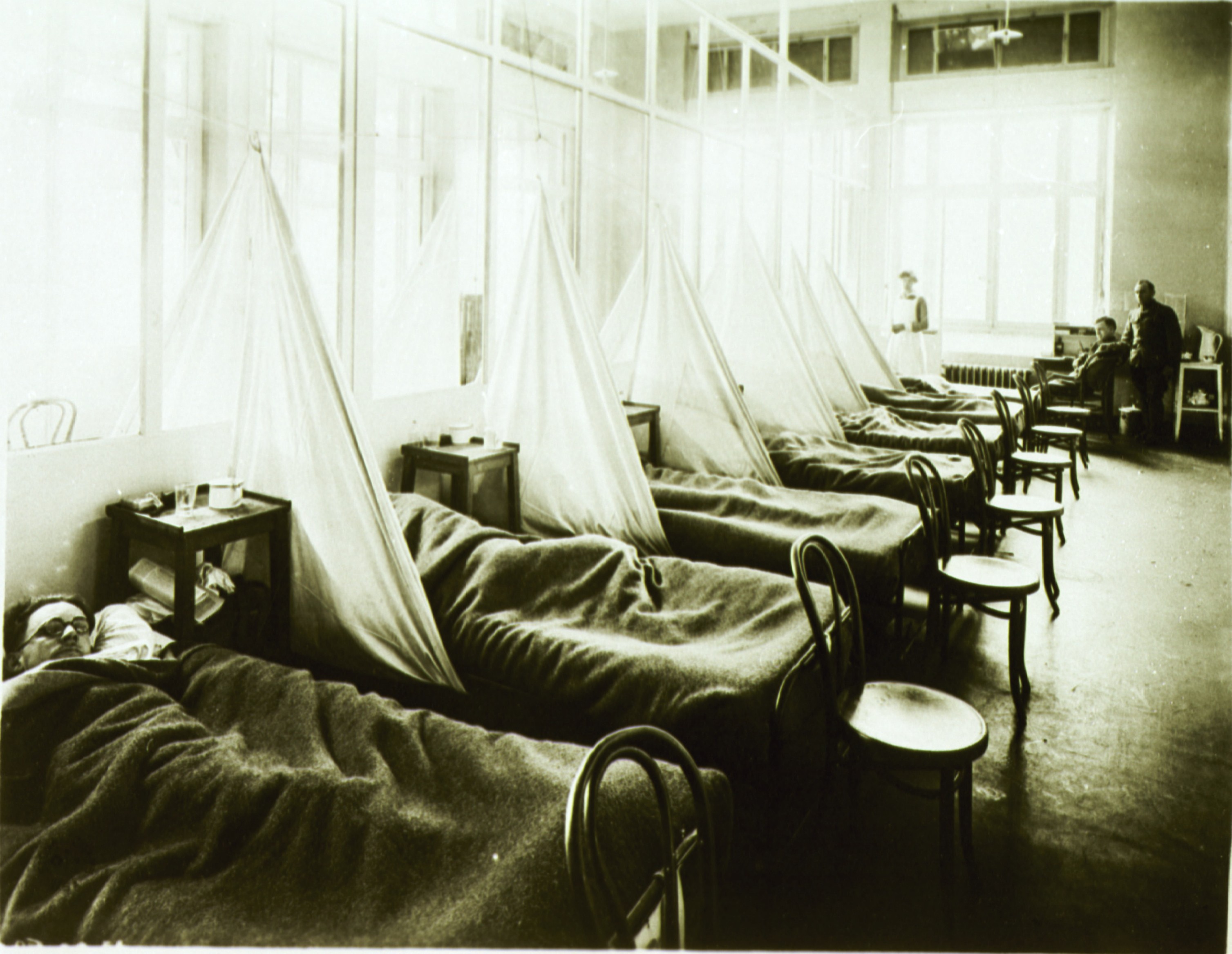The 1918 influenza pandemic in its time –will we learn for the future?