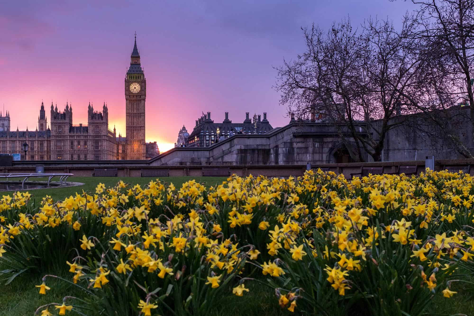 NHS in the UK: A Guide for Employers
