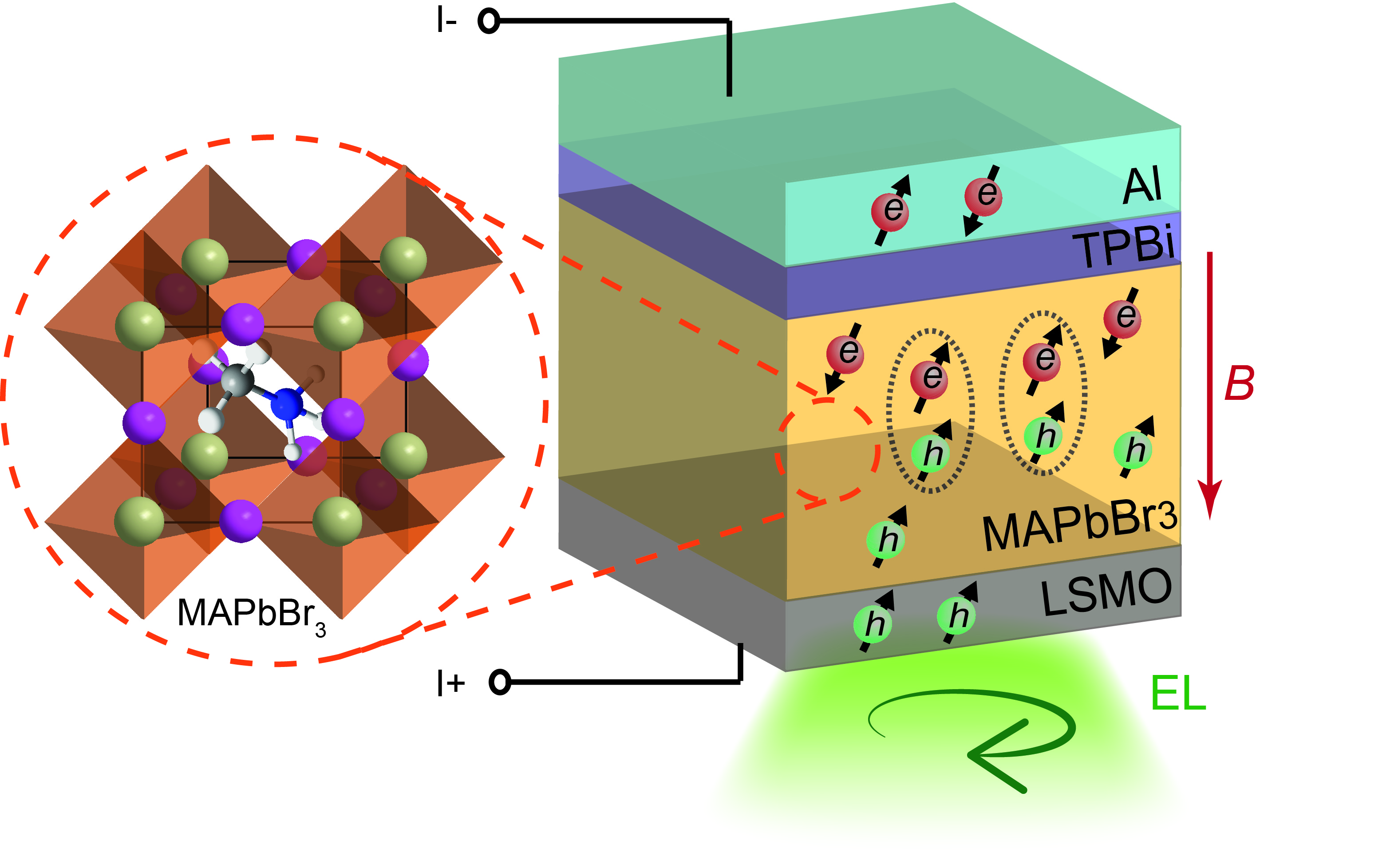 Debut of hybrid organic-inorganic trihalide perovskites spintronics