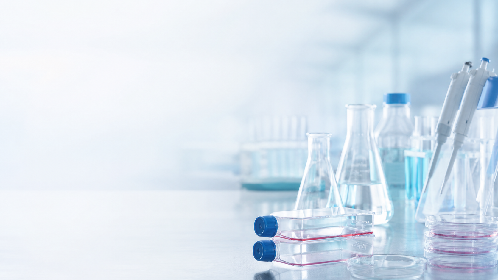 Scaffold-Free Organoids for Connective Tissue Research