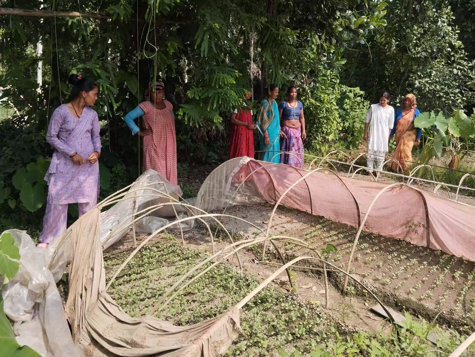10 Things I Learned About Nepal During My LIA