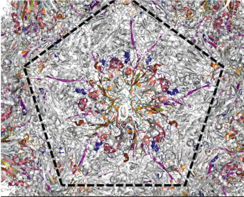 Advancing Biological Understanding with Cryo-Electron Microscopy