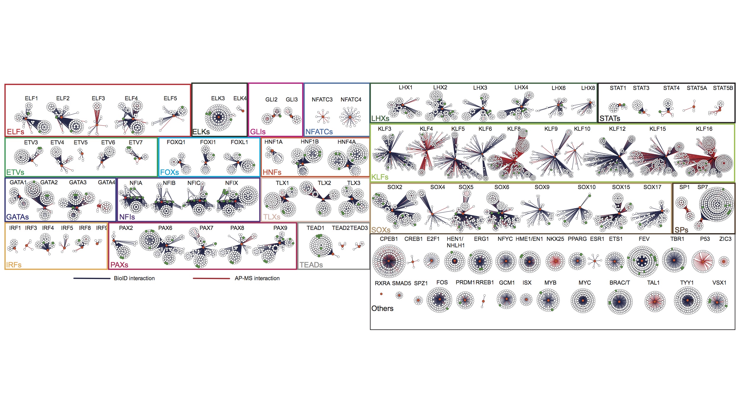 Know Thy Friends, know ThyselF – Transcription Factor (TF) regulation resolved