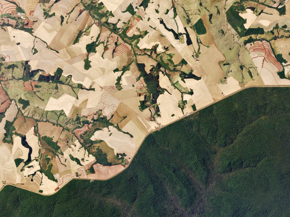 Disease in changing landscapes