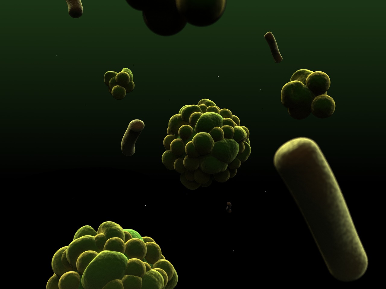 Journal Club: New molecules can target group II introns and act as antifungal agents