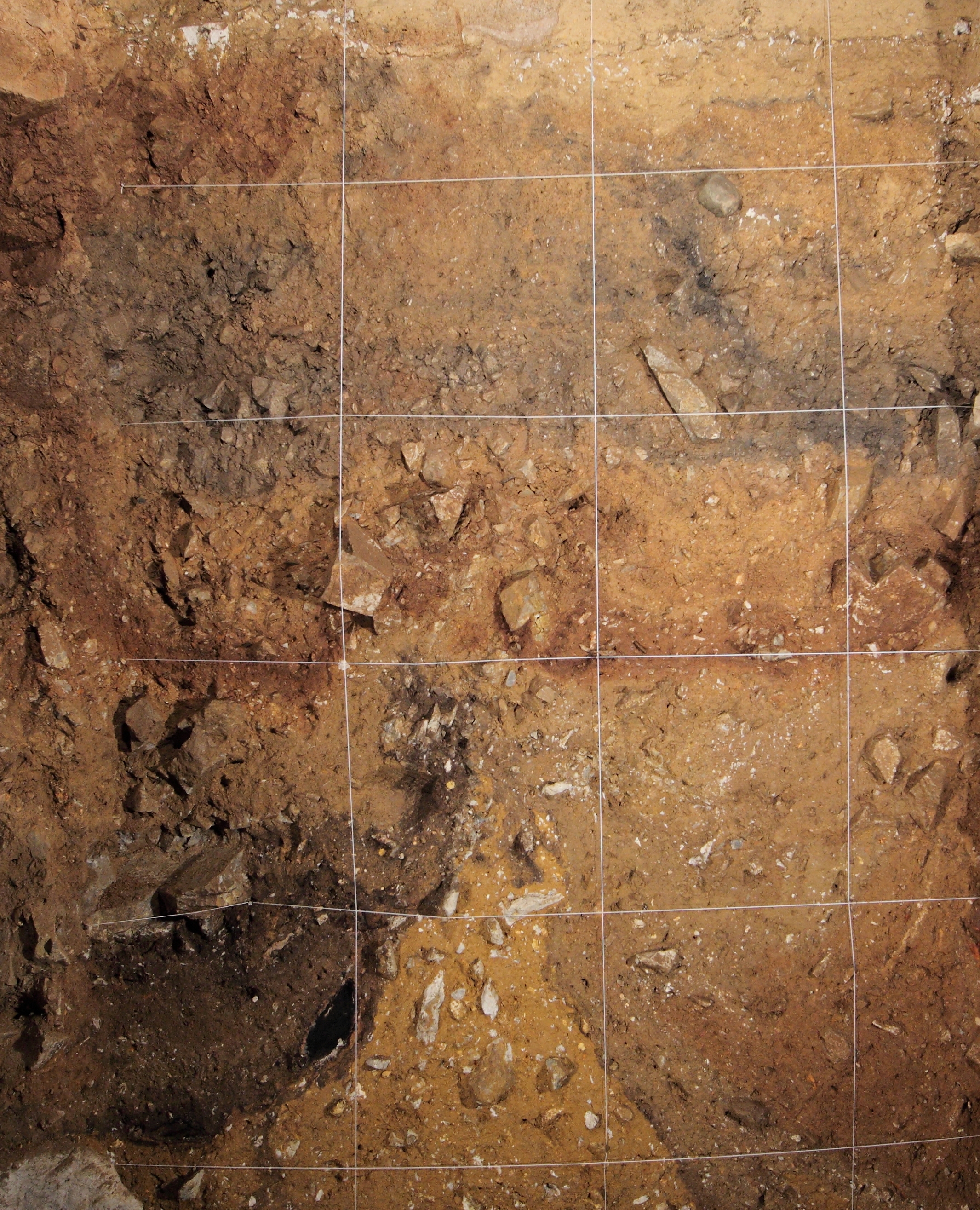 Dirt DNA: Sieving through history