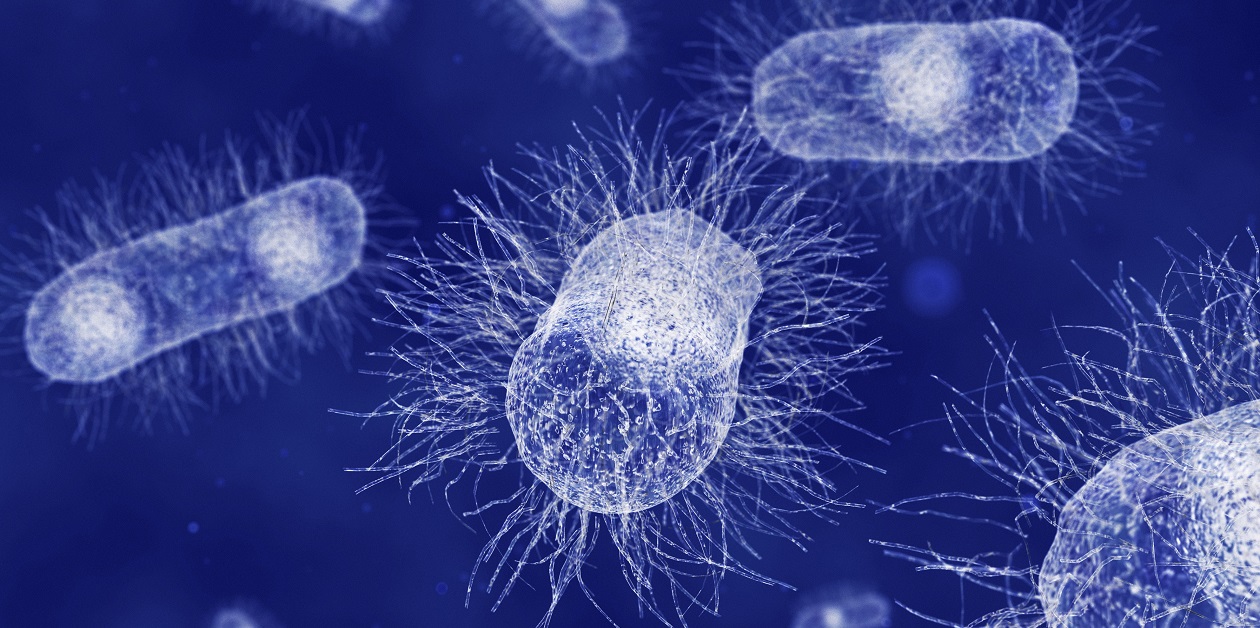 Top 100 in Microbiology | Scientific Reports