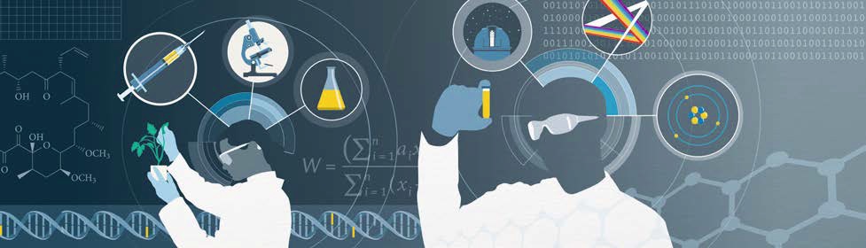 Working to launch Nature Reviews Methods Primers