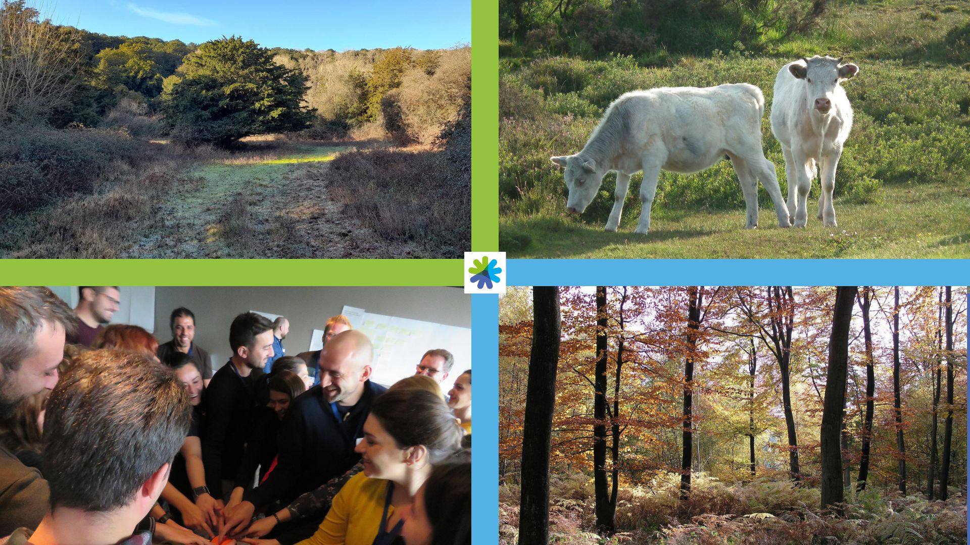 Rewilding, Recovery, Restoration: The Human Dynamic