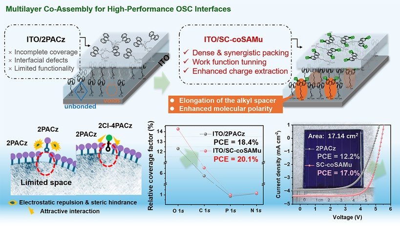 Layered Defect-Filling co-Assembled Carbazole-Based SAMs Deliver 20% Organic Solar Cells and 17% Mini-Modules
