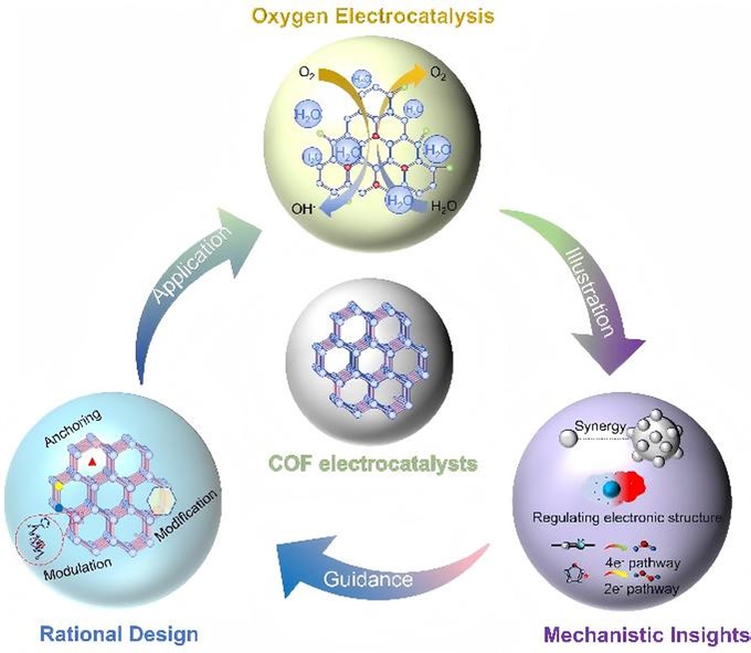 Rational Design of Covalent Organic Frameworks for Oxygen Electrocatalysis: Recent Advances and Mechanistic Insights