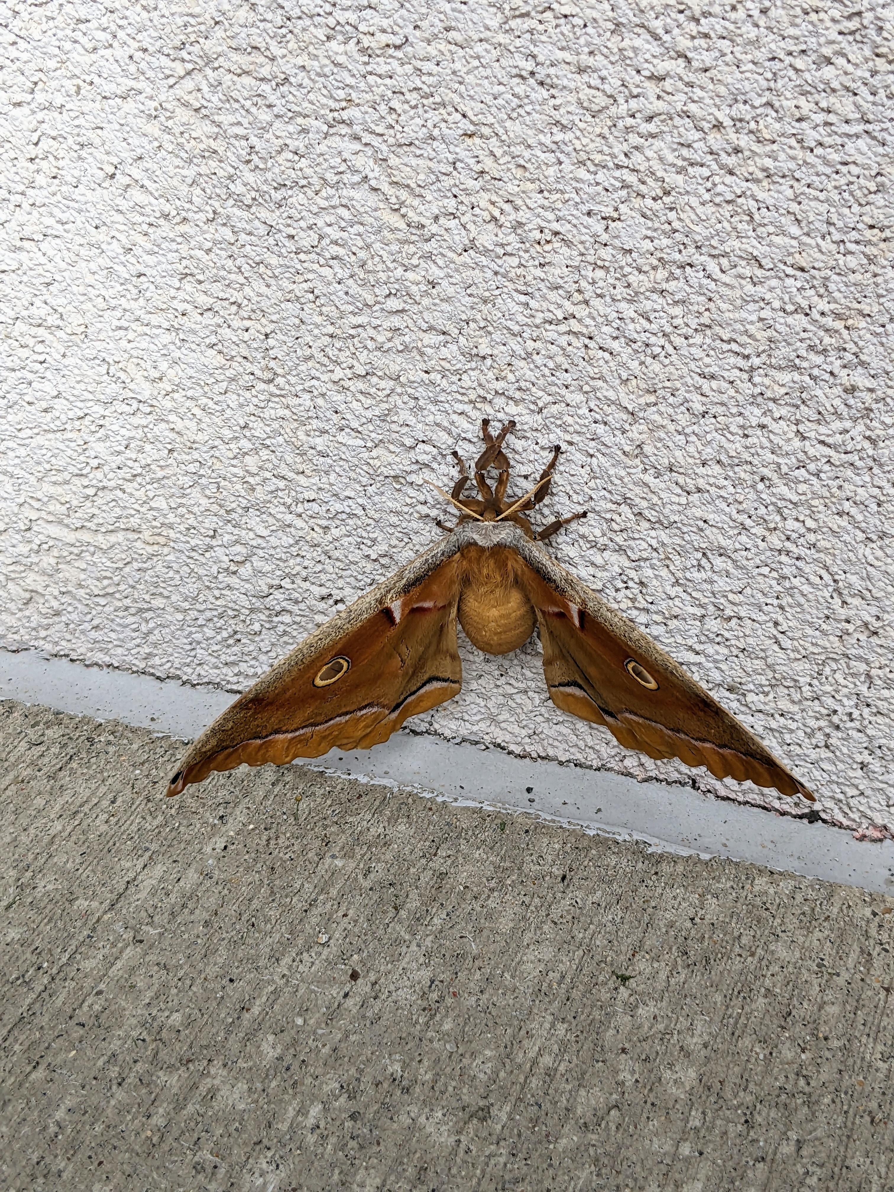 Get to know your local wildlife (and other conservation paths)