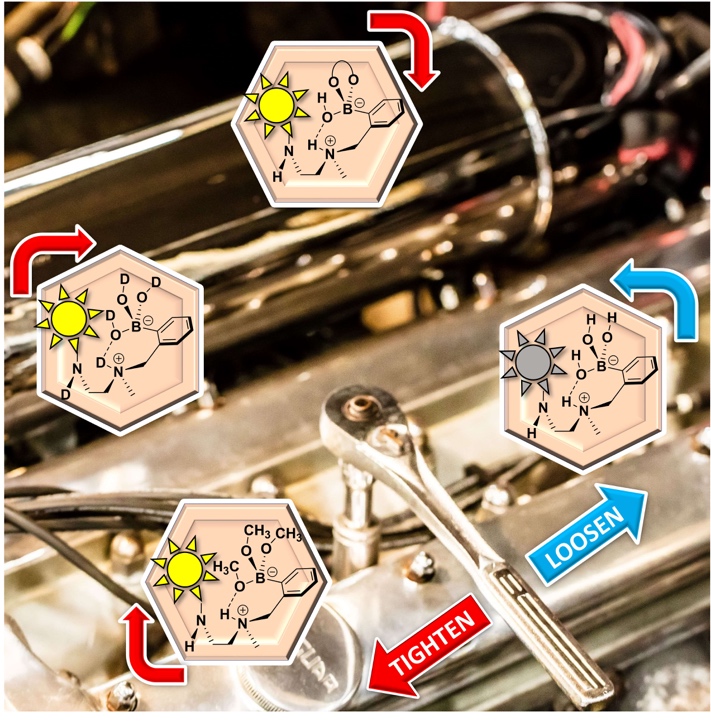 As We Like It - Boronic acid Sensors and Loose Bolts - The Final Act in a Shakespearian Drama