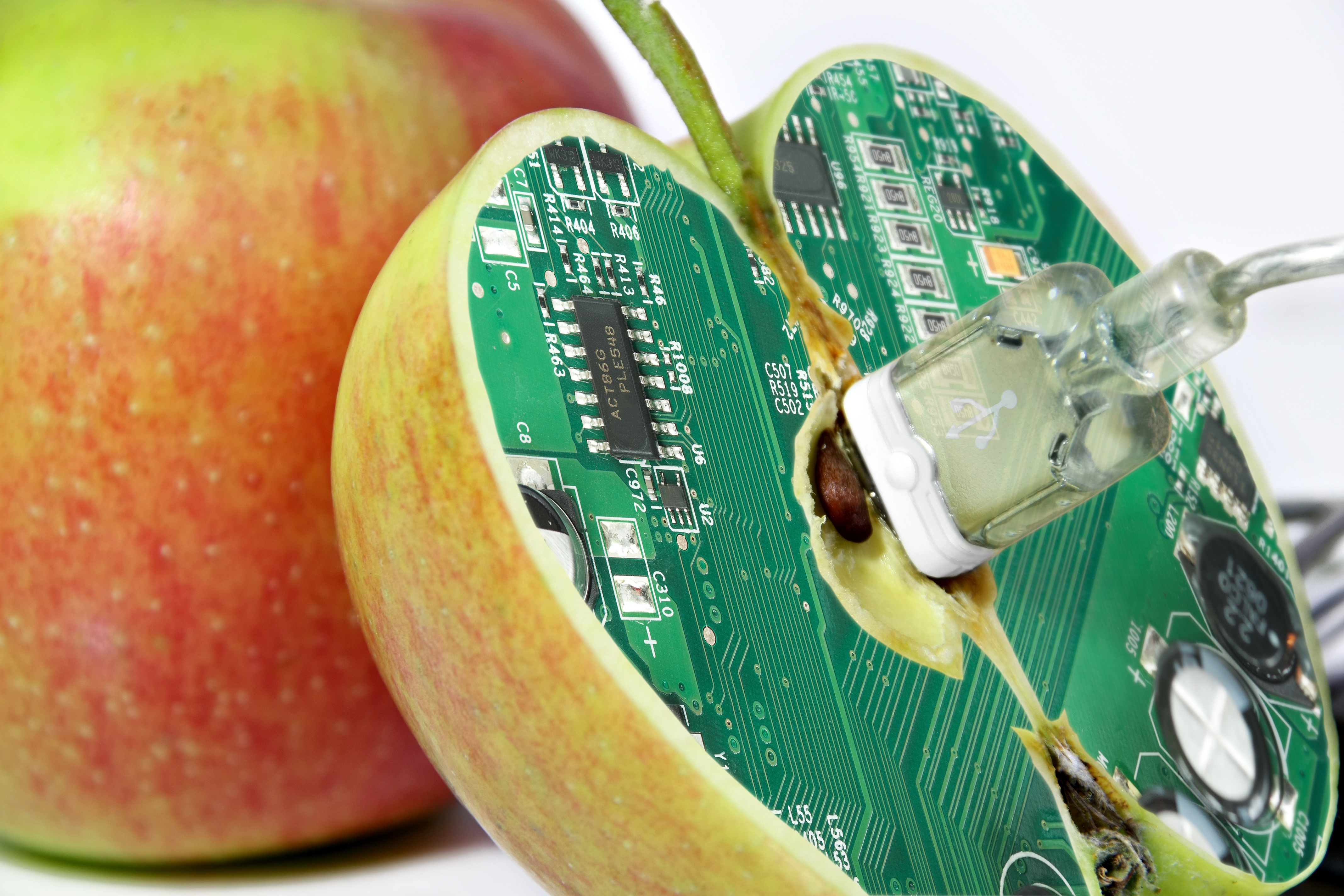 Engineering food of the future requires global coordination to ensure food security