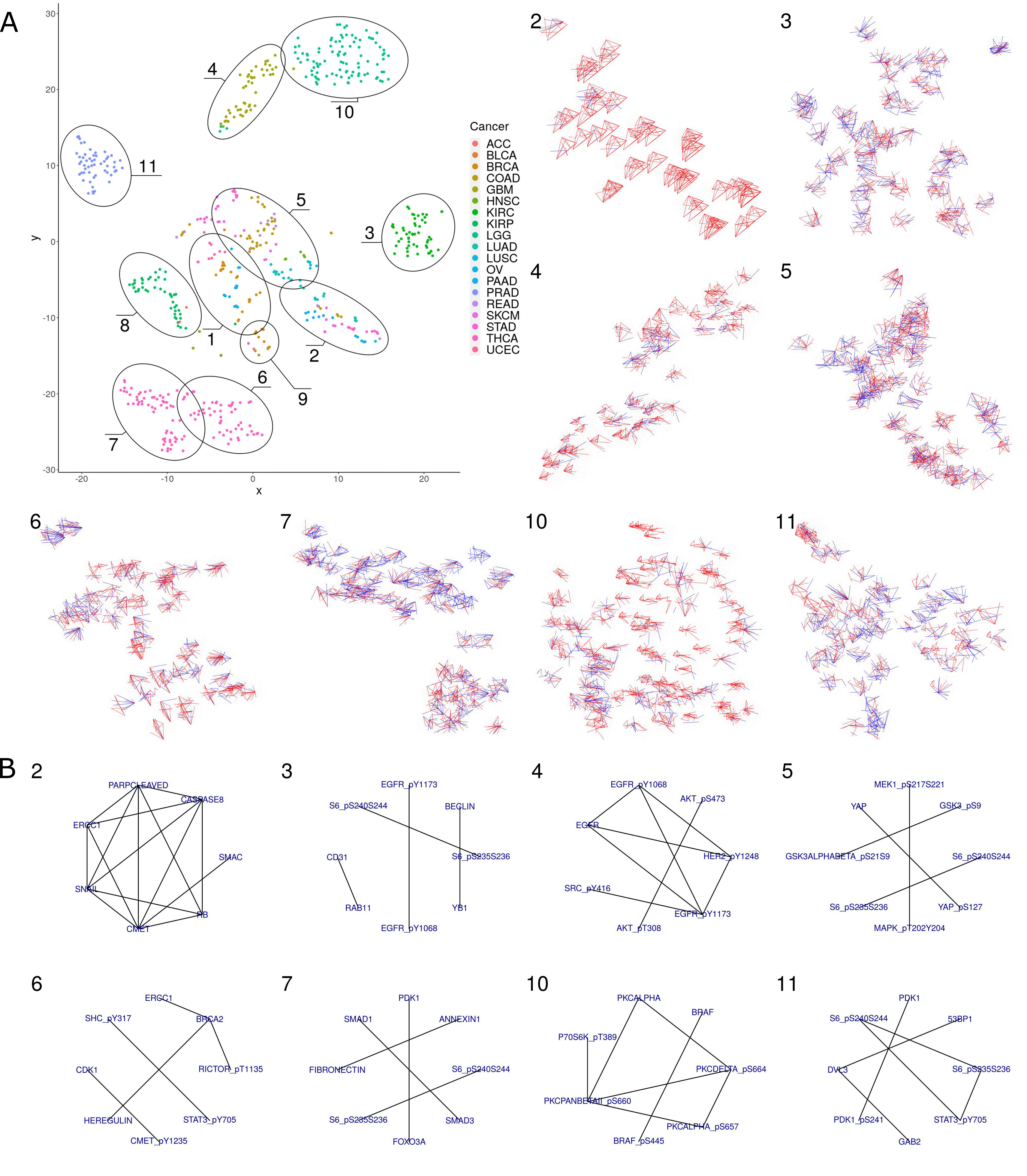 Patient-level proteomic network prediction by explainable artificial intelligence