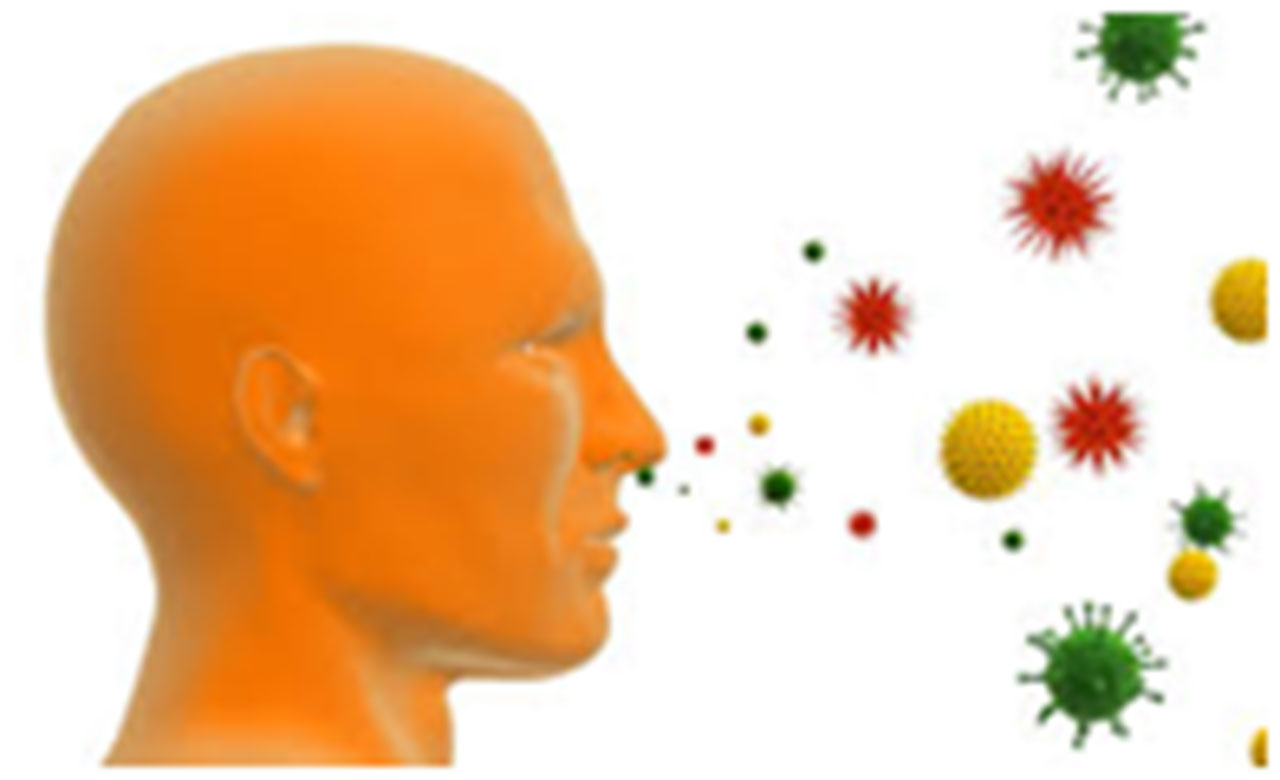 Round table "FEBS Science and Society: Healthy Microbiome , Healthy Host? : Allergy and Microbiome, to bidirectional influence" 