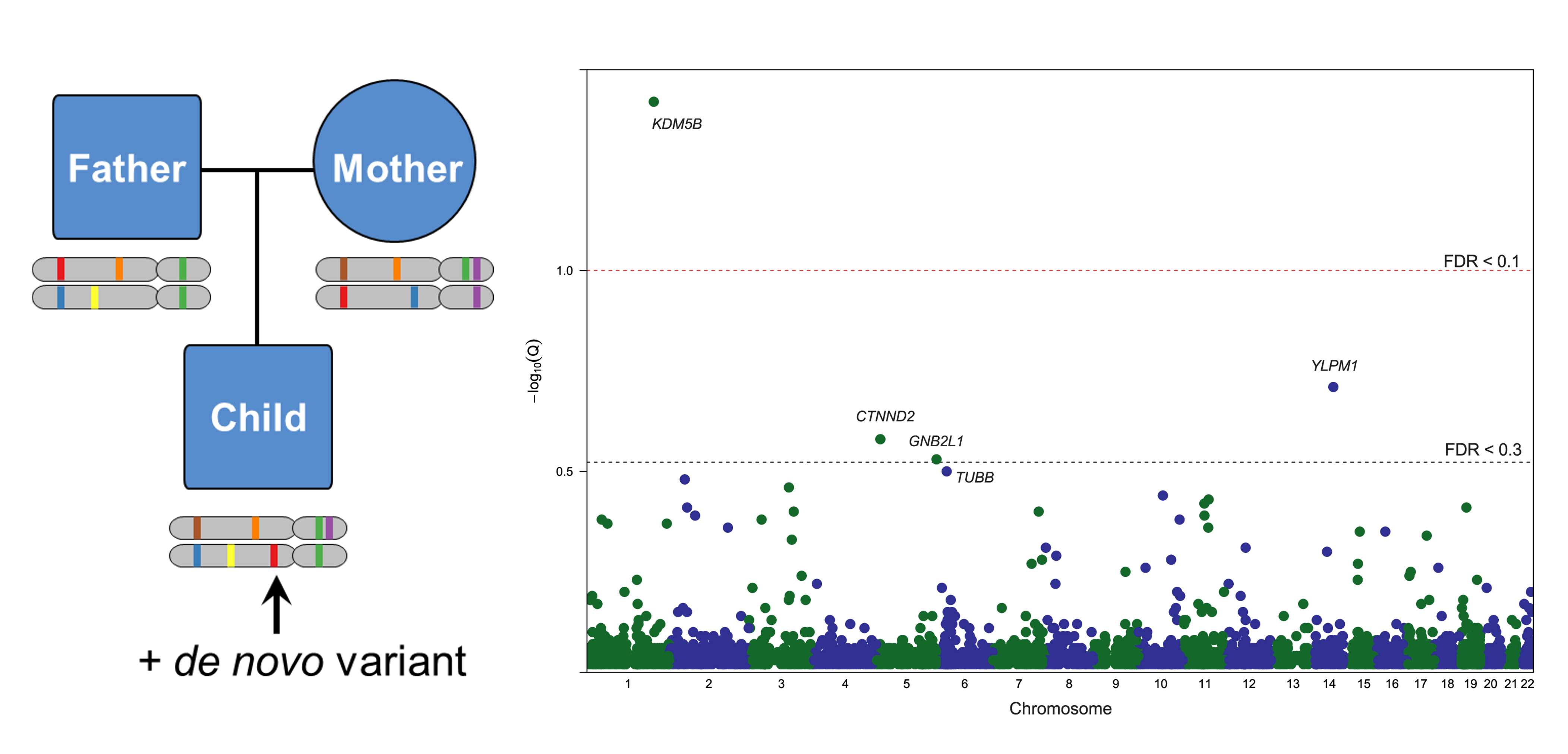 Uncovering Genetic Clues in ADHD Through DNA Sequencing