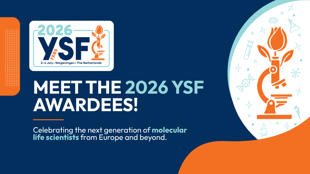 Meet the YSF 2026 awardees!