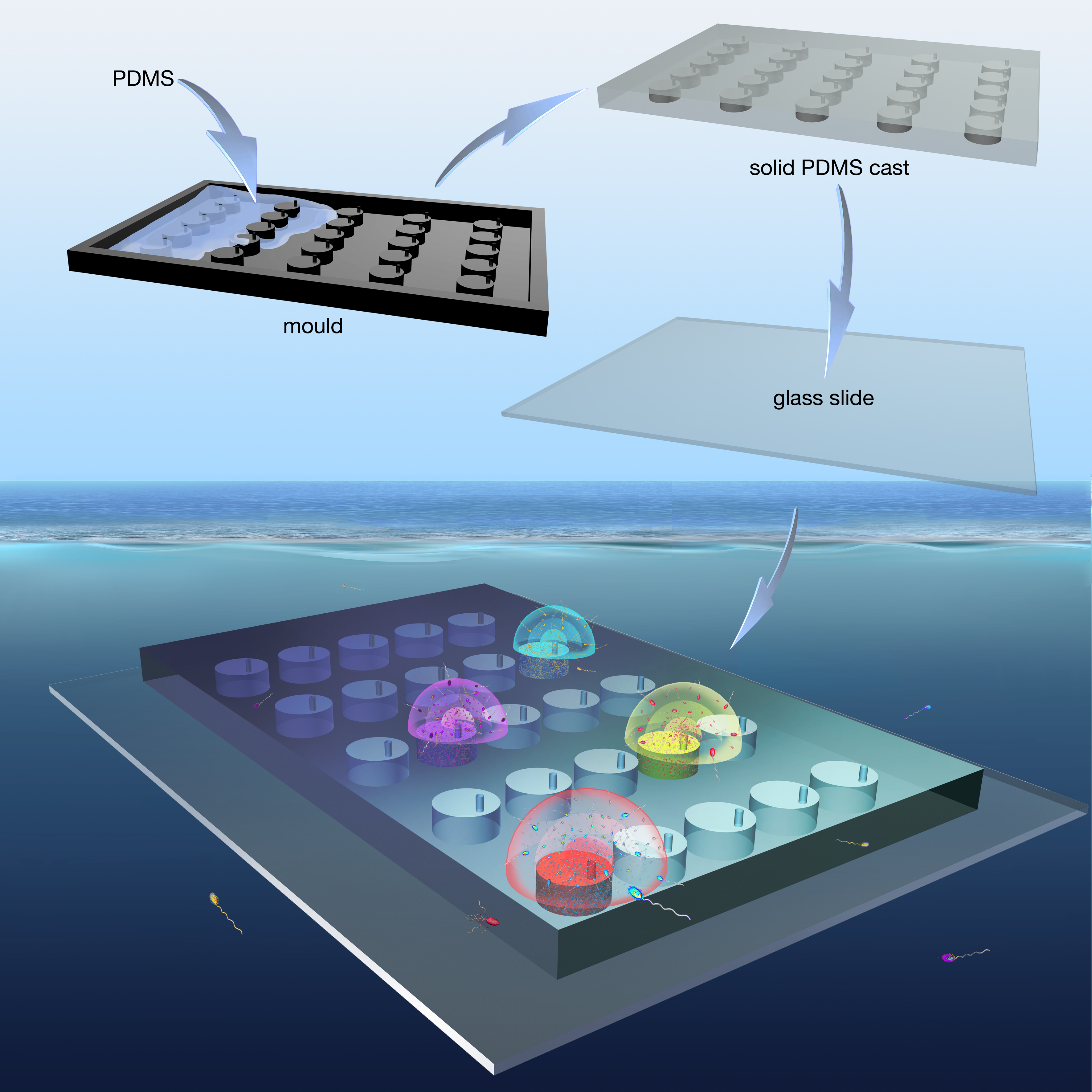 A microfluidics-based in situ chemotaxis assay to study the behaviour of aquatic microbial communities