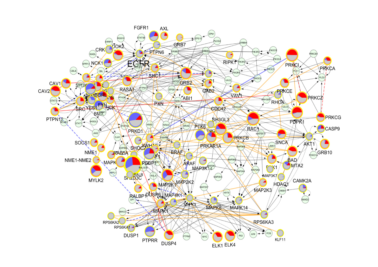 The ripple effects of a RAS mutation