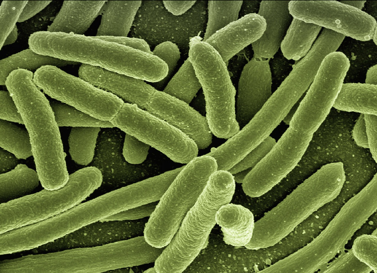 Journal Club | 1 trillion species!