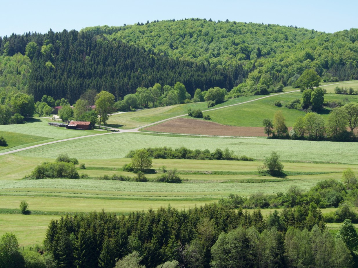 Designing landscapes that meet the needs of multiple stakeholders