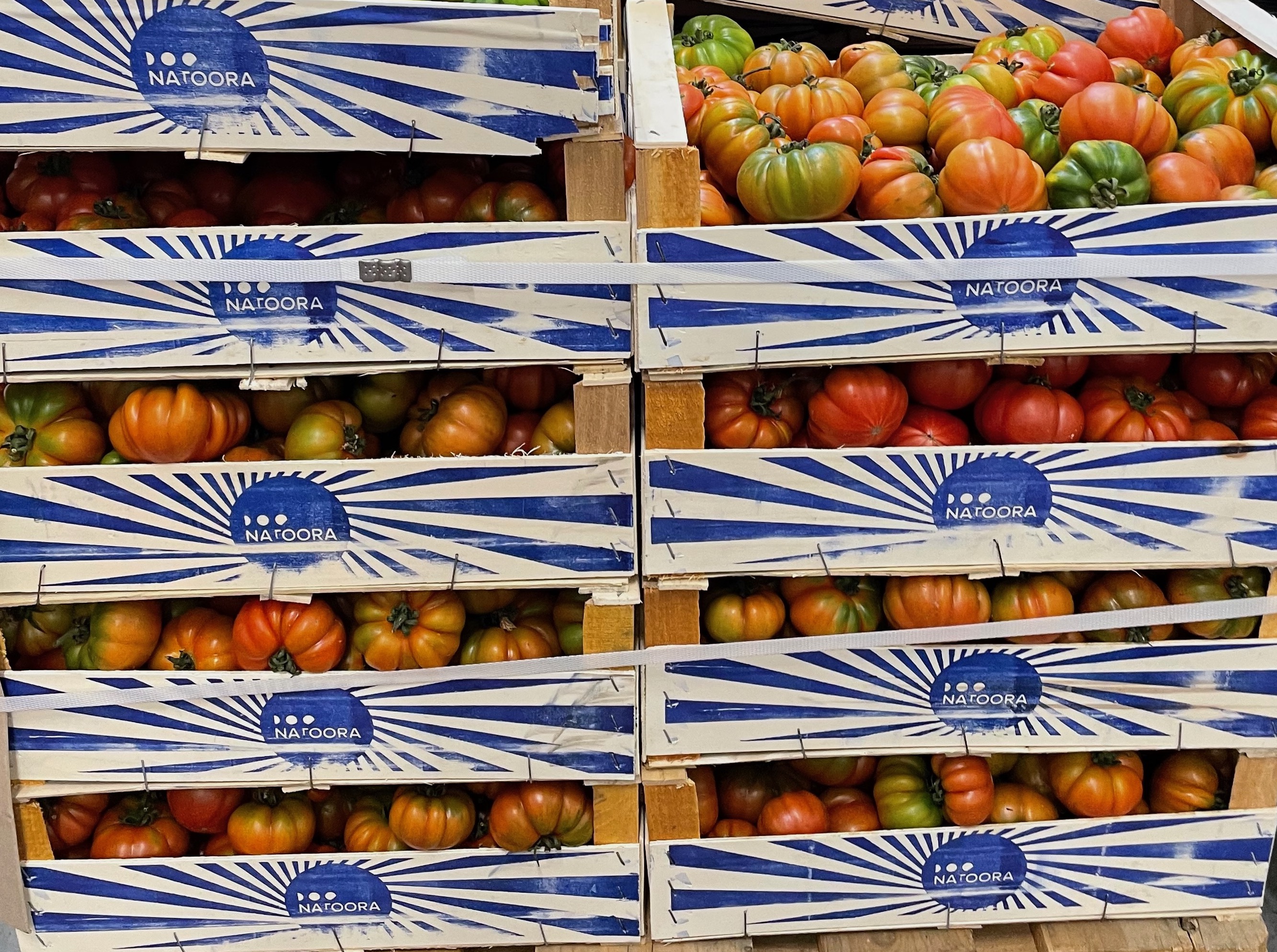 LiA Reflection 1: Food, Education, and Strategies of Sustainability at Natoora