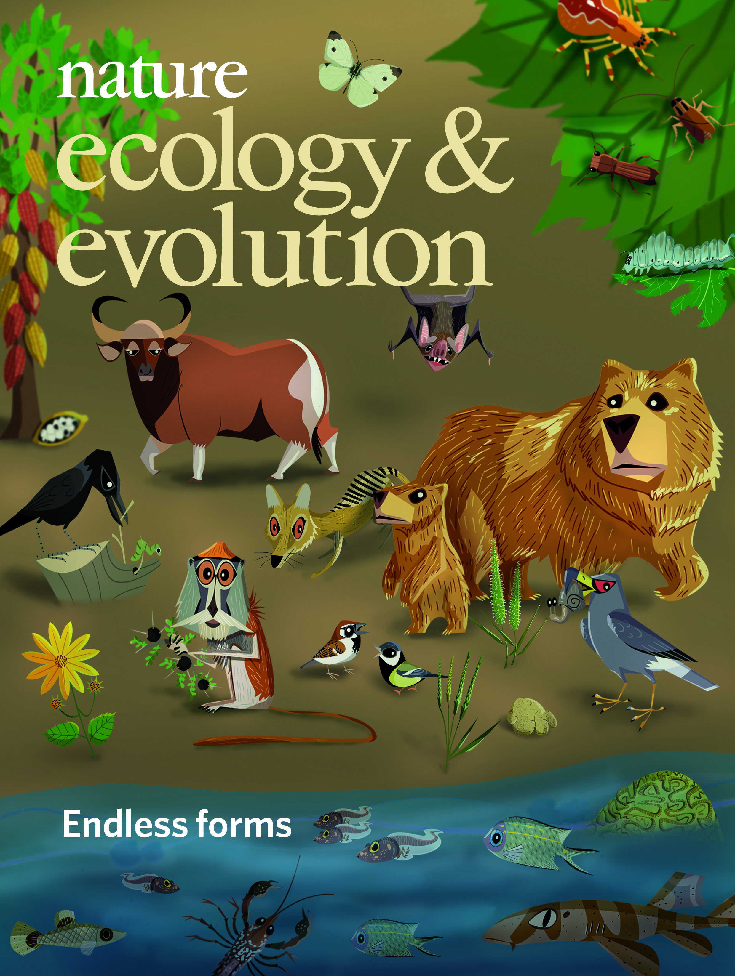 Gallery | January 2019 cover
