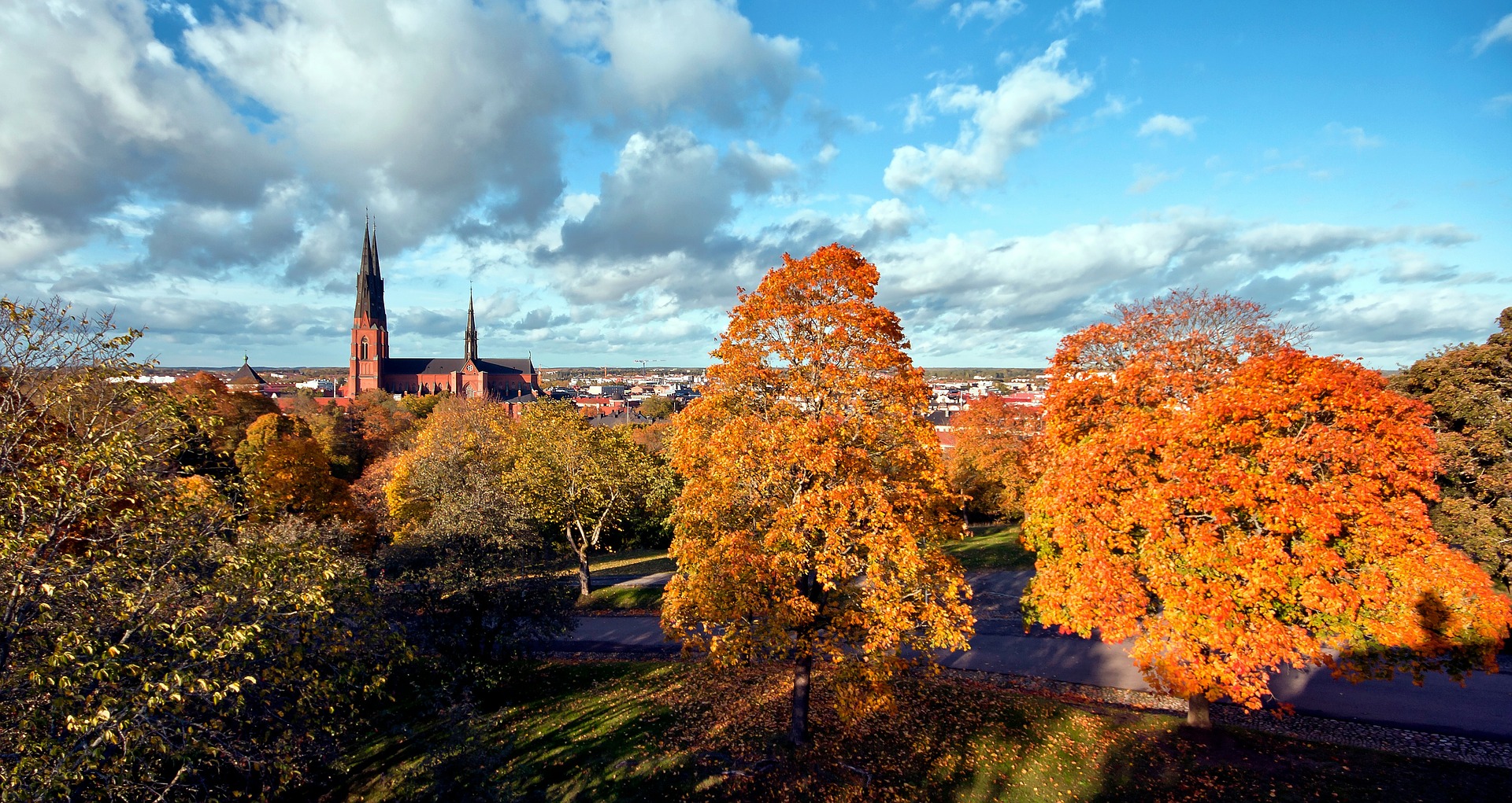 Career support through a FEBS Long-Term Fellowship: from Germany to Uppsala, Sweden, for research on protein degradation pathways