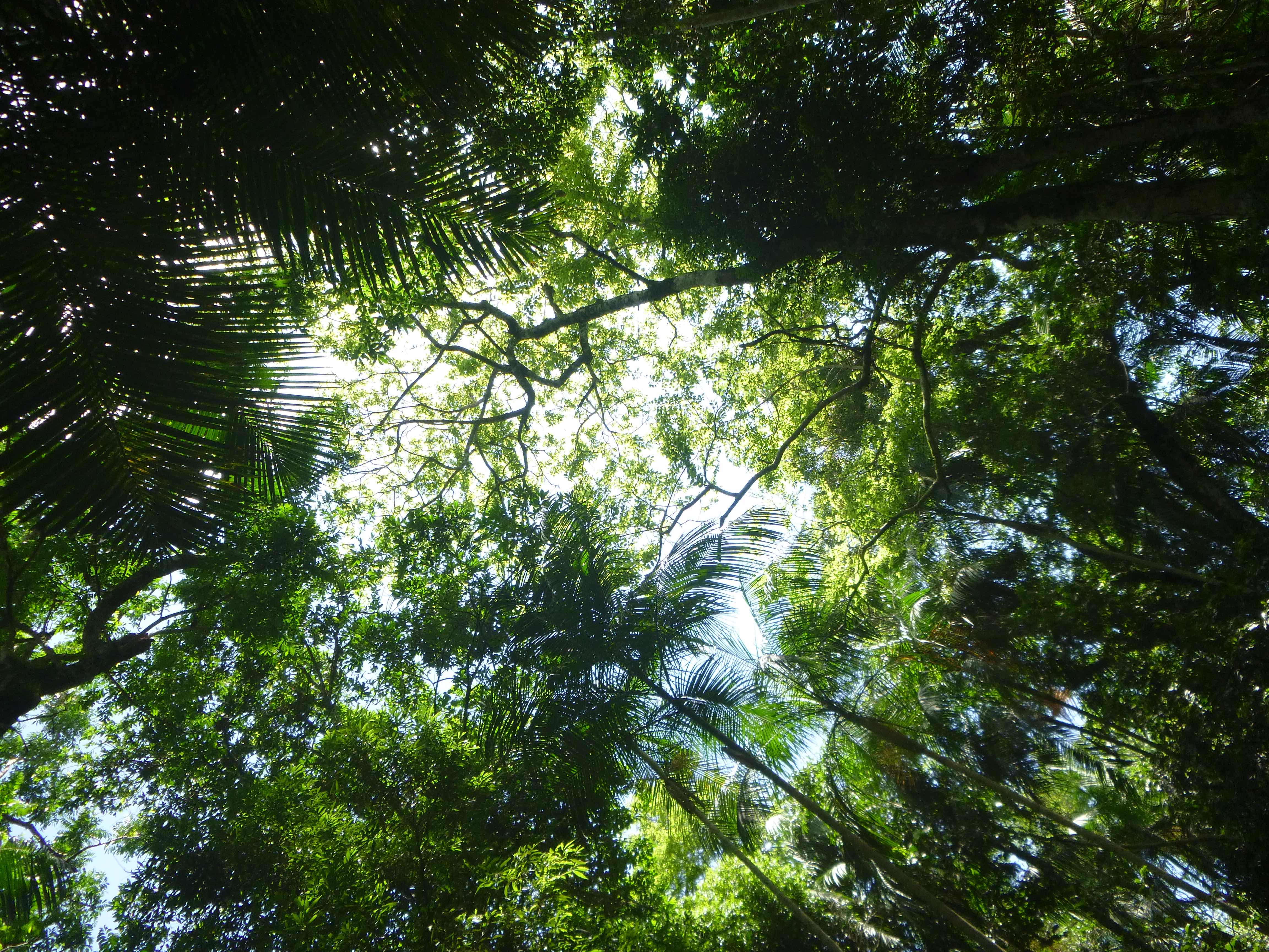 Conservation can be contagious