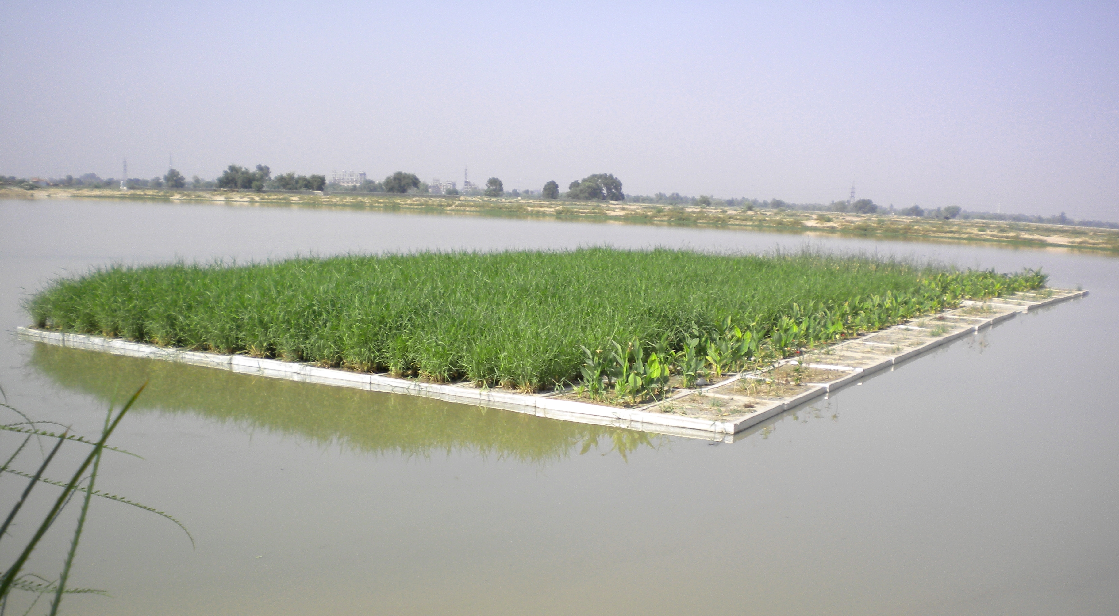 Floating wetlands for low-cost wastewater treatment