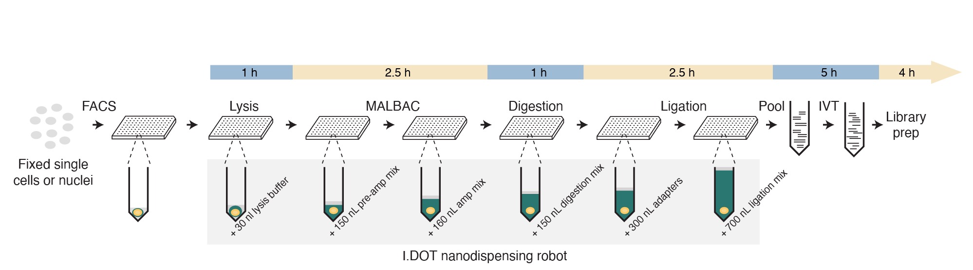 DNA copy number profiling at single-cell resolution