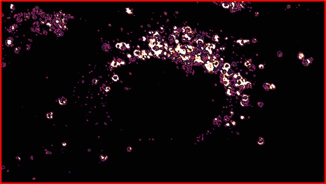 SARS-CoV-2 virulence factor ORF3a blocks lysosome function by modulating TBC1D5-dependent Rab7 GTPase cycle