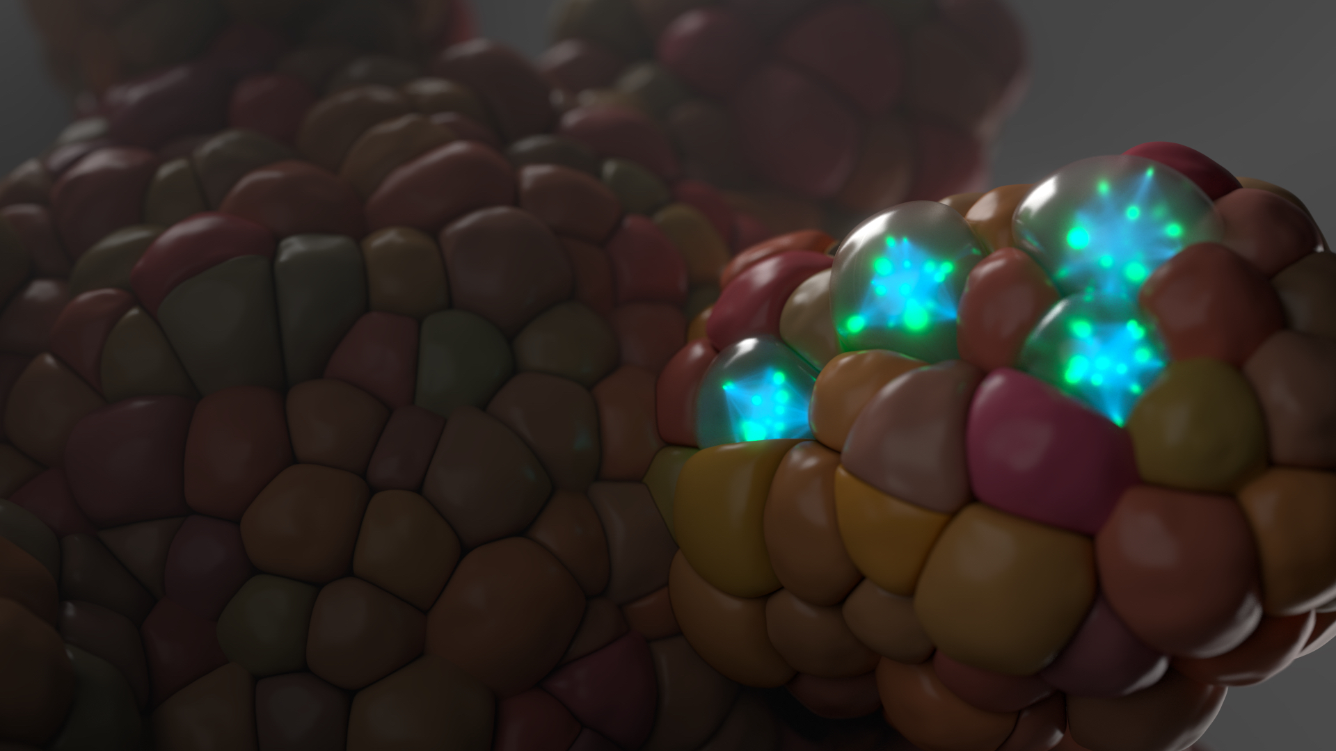 In Pursuit of Single-Cell Insights of Organoid Signalling