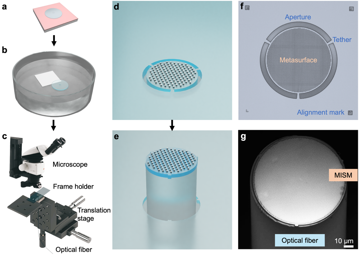 Unleashing Metasurfaces from Rigid Substrates: The OPTIMISM Approach for Universal Transfer and Inverse Design
