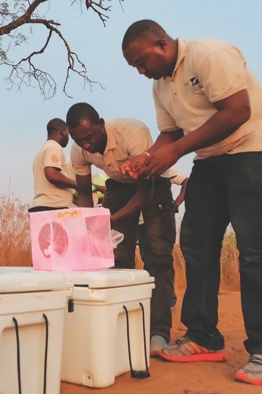 Entomological lessons from the first release of genetically modified mosquitoes in Africa