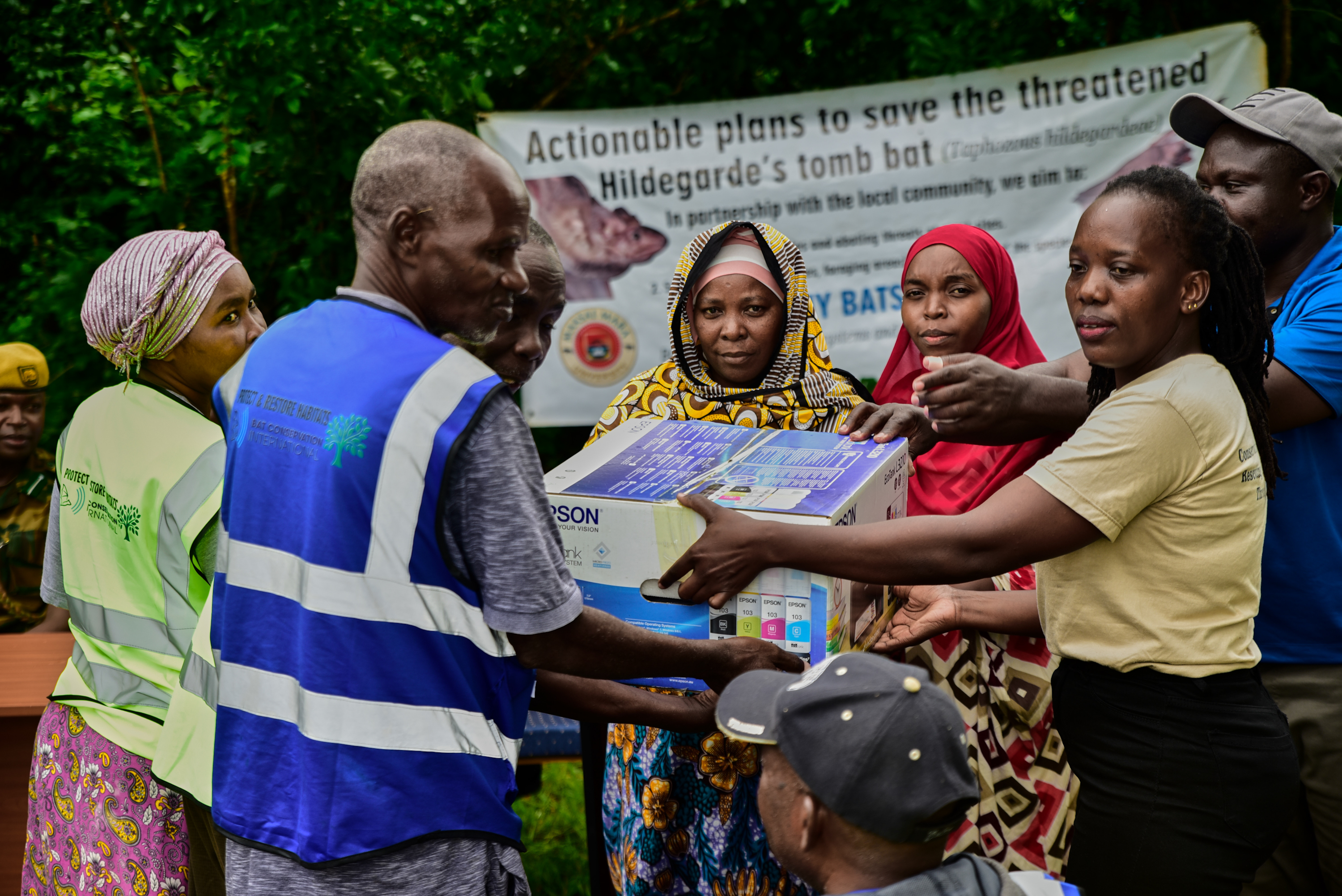 Saving the Hildegard's Tomb Bat