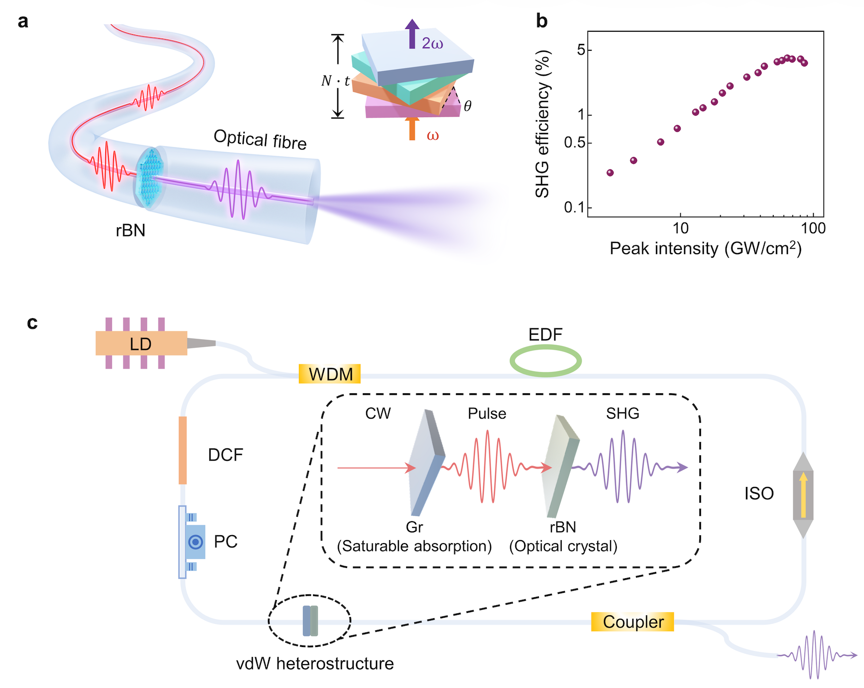 Giving Optical Fibres a Nonlinear Boost with van der Waals Crystals
