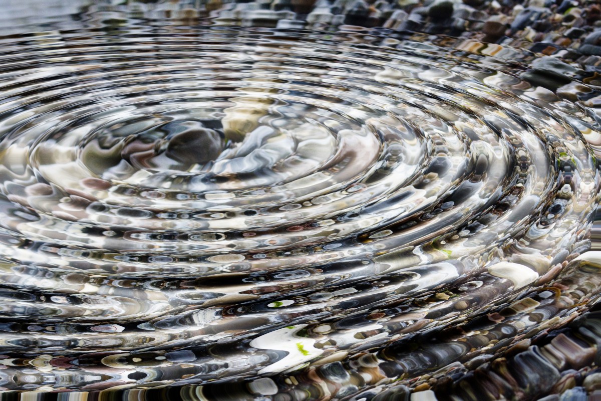 If you like throwing rocks in the water for no reason, you may find new ways to predict a bacterium’s antibiotic sensitivity

