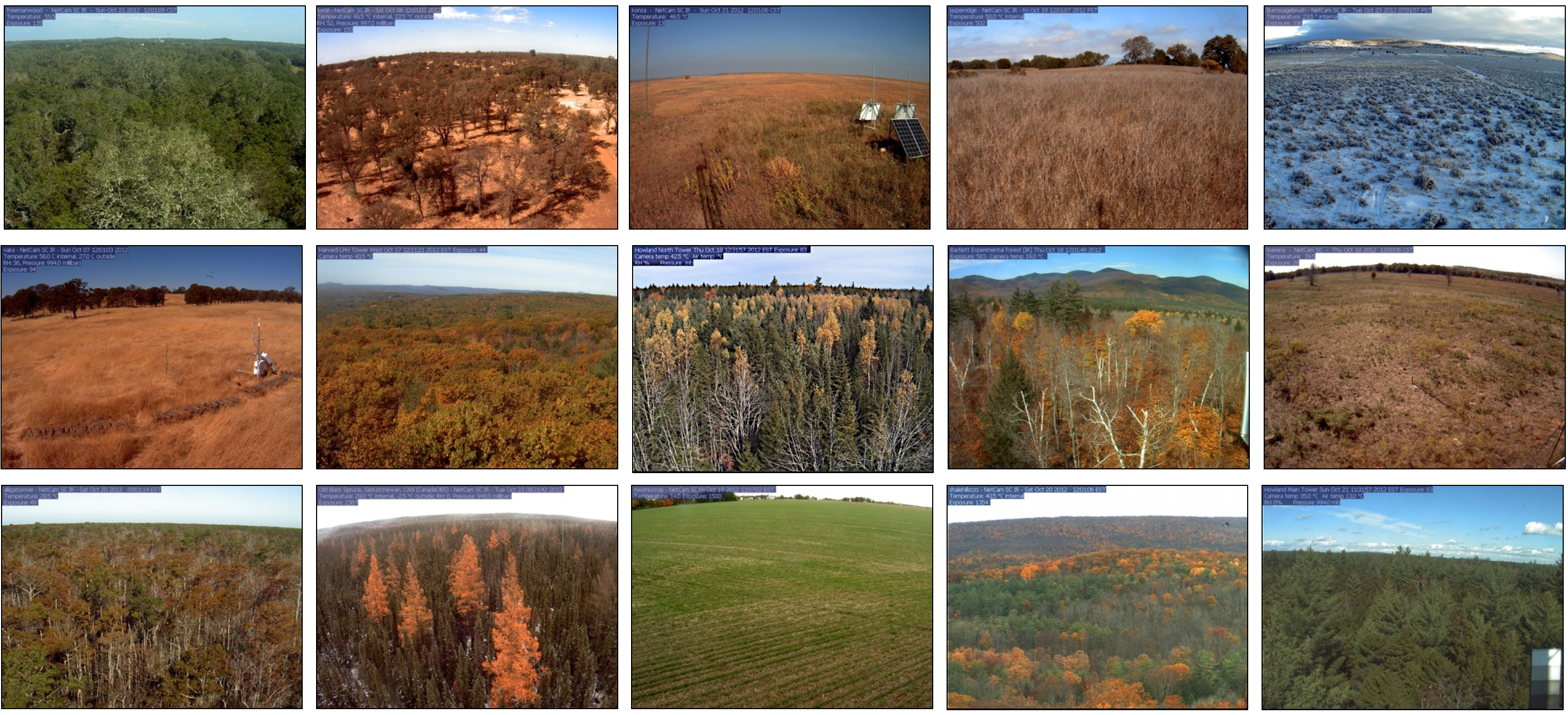 Software development and training offer opportunities to advance ‘Big Data’ discovery and scientific research: Lessons from the PhenoCam team