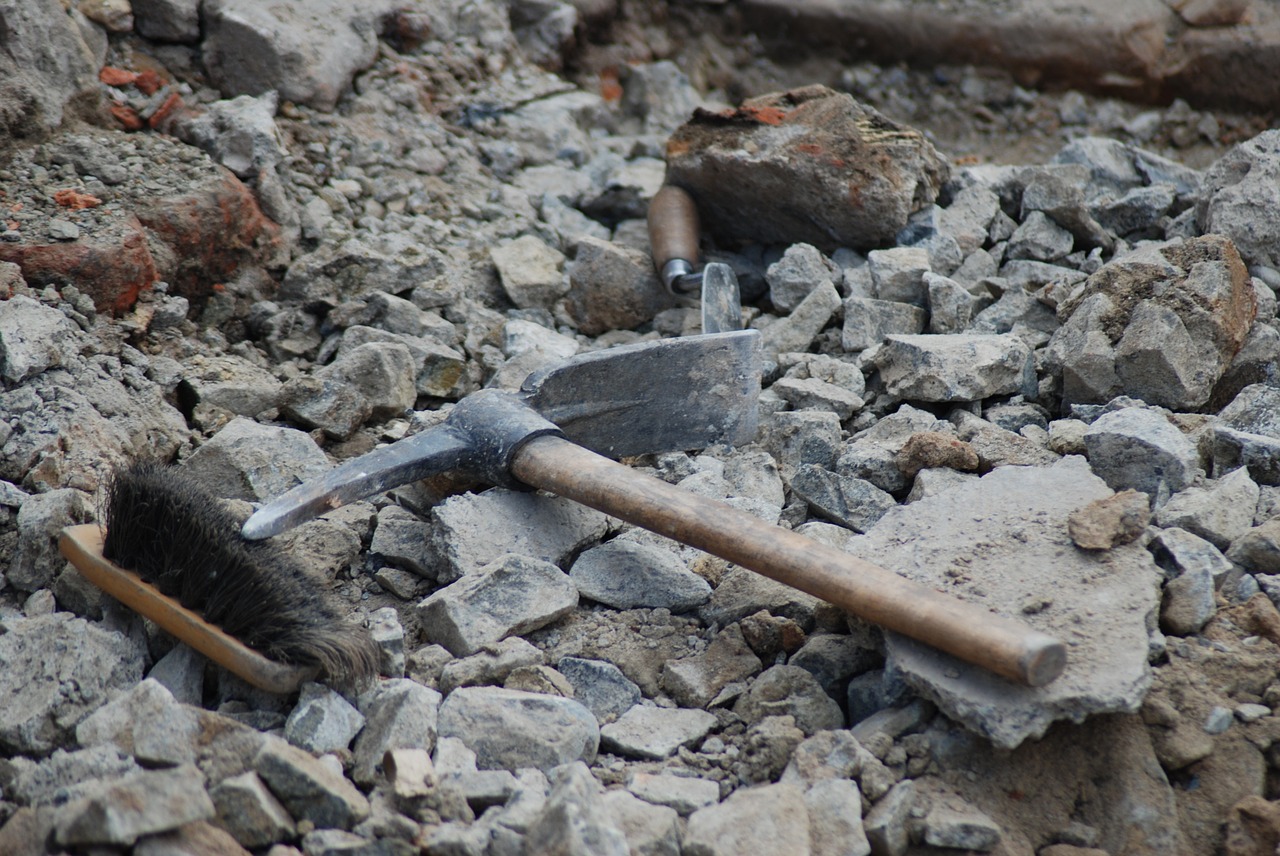 Journal Club | It's a fungus! Oldest land fossil found