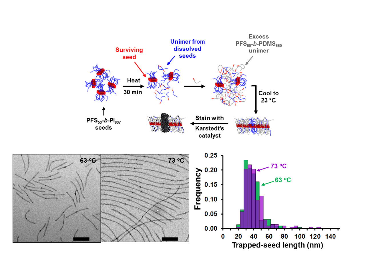 Trapping seed crystallites to peer inside a black box