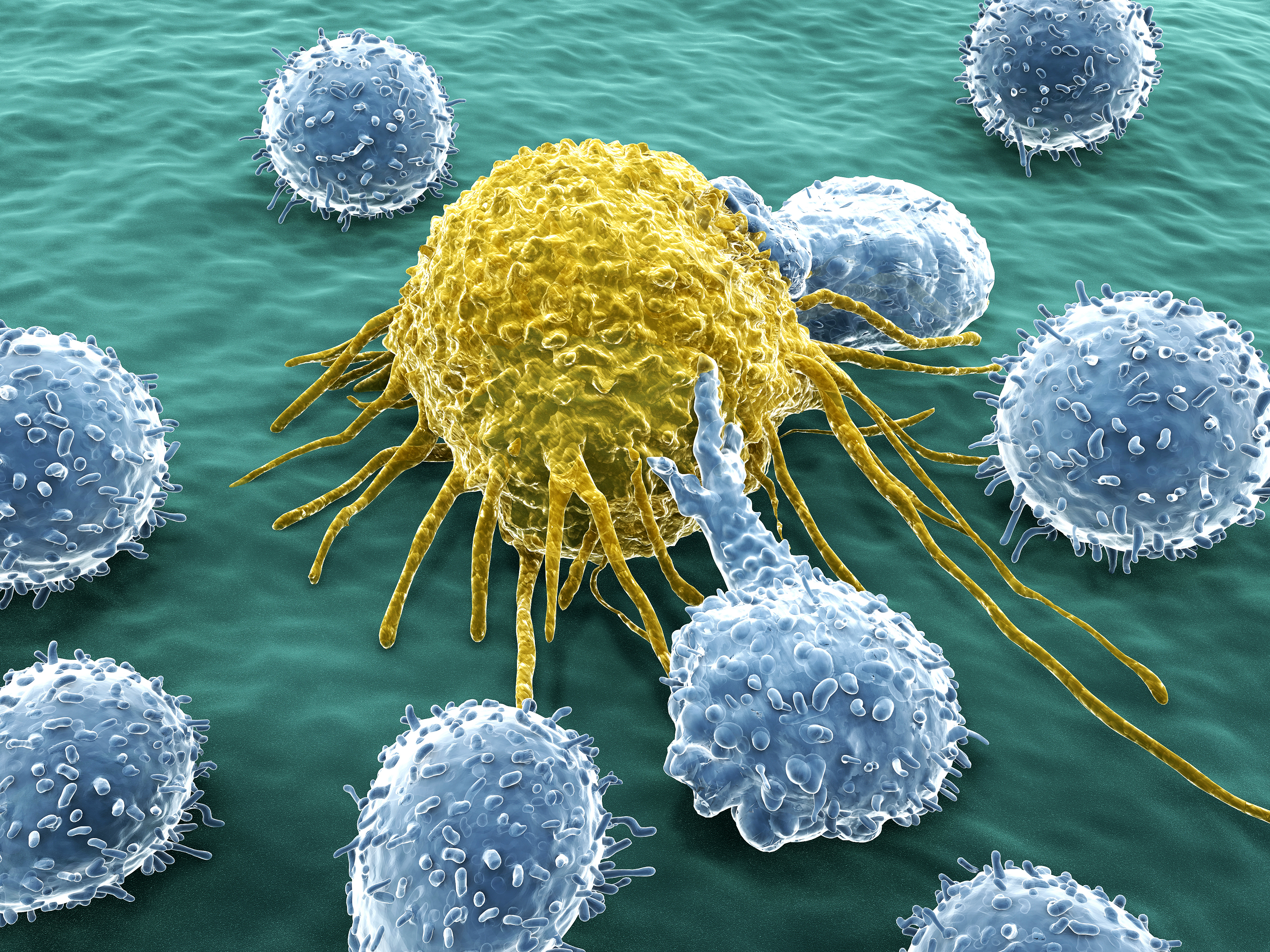 World Cancer Research Day 2021