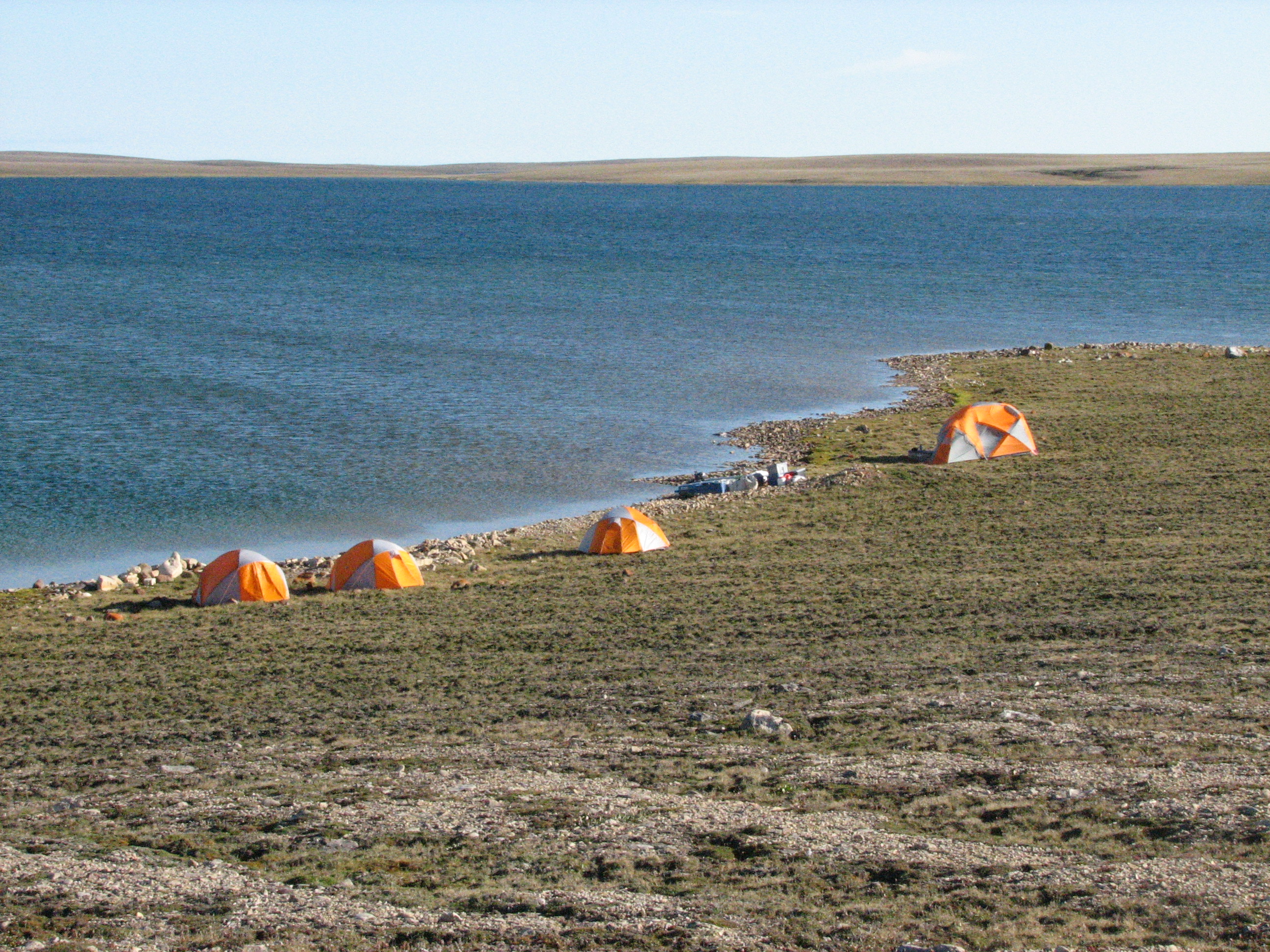 Adventures in the Arctic