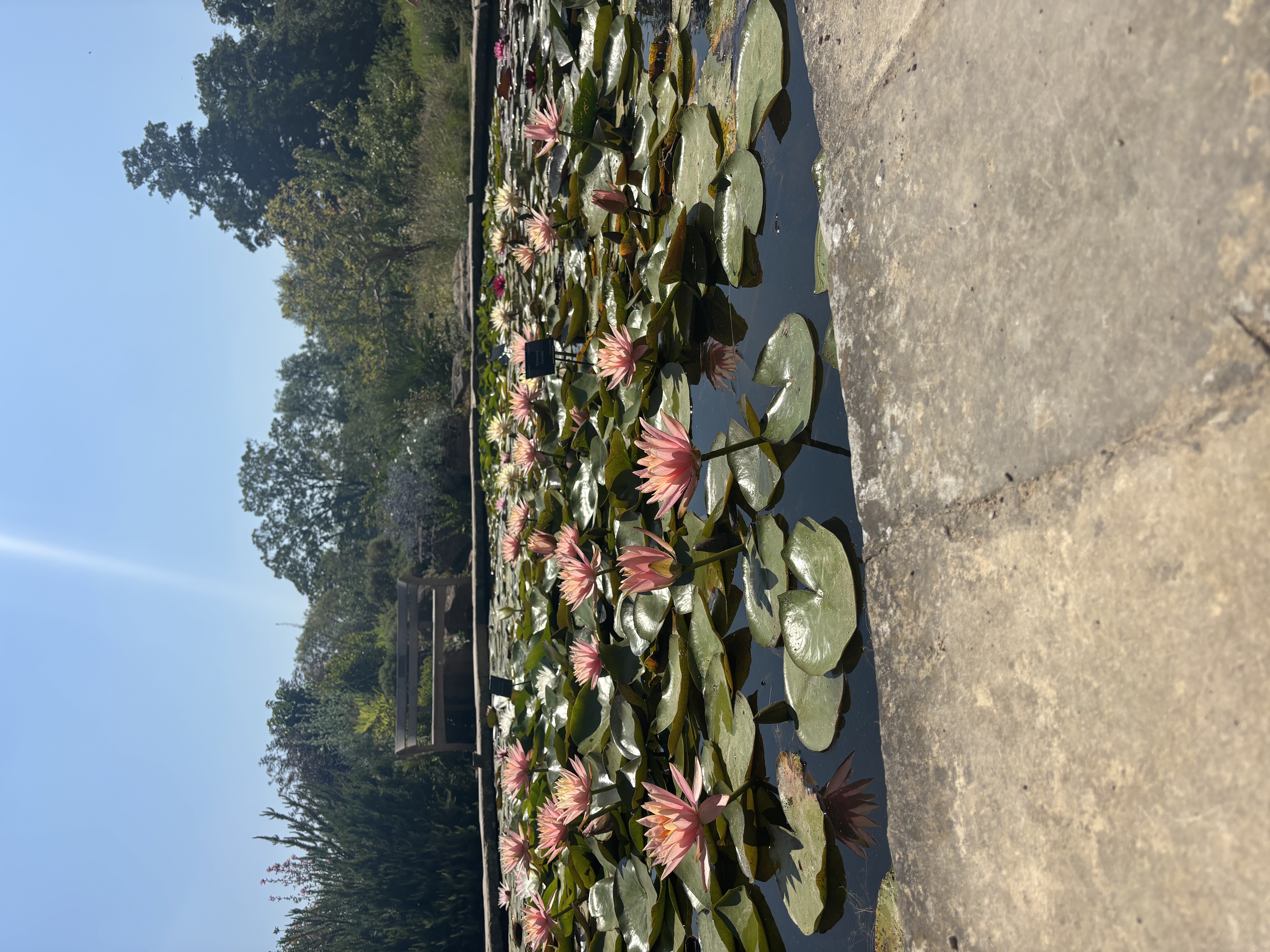 Week 2: Oxford Research Summer 