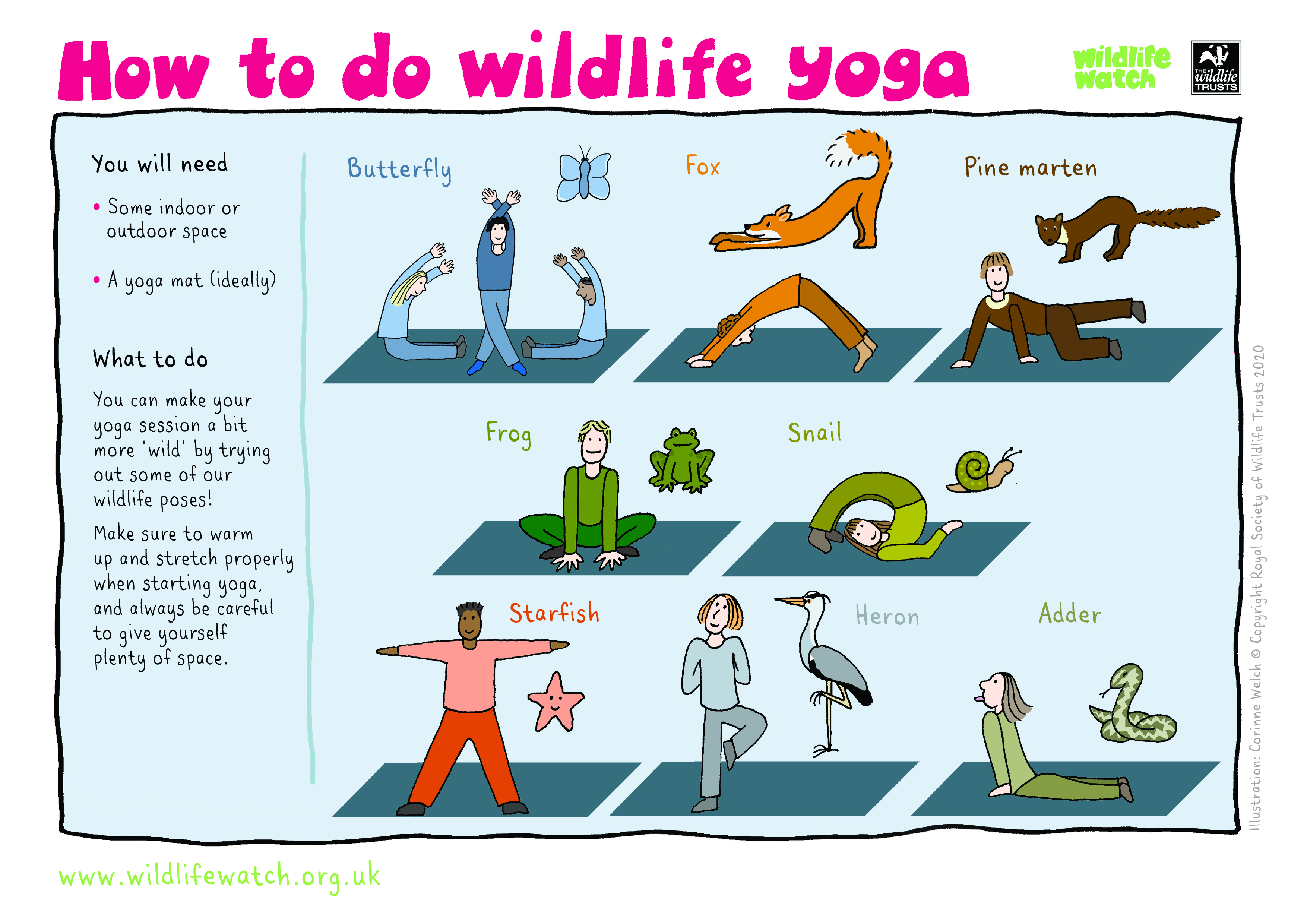 Event: Wildlife yoga