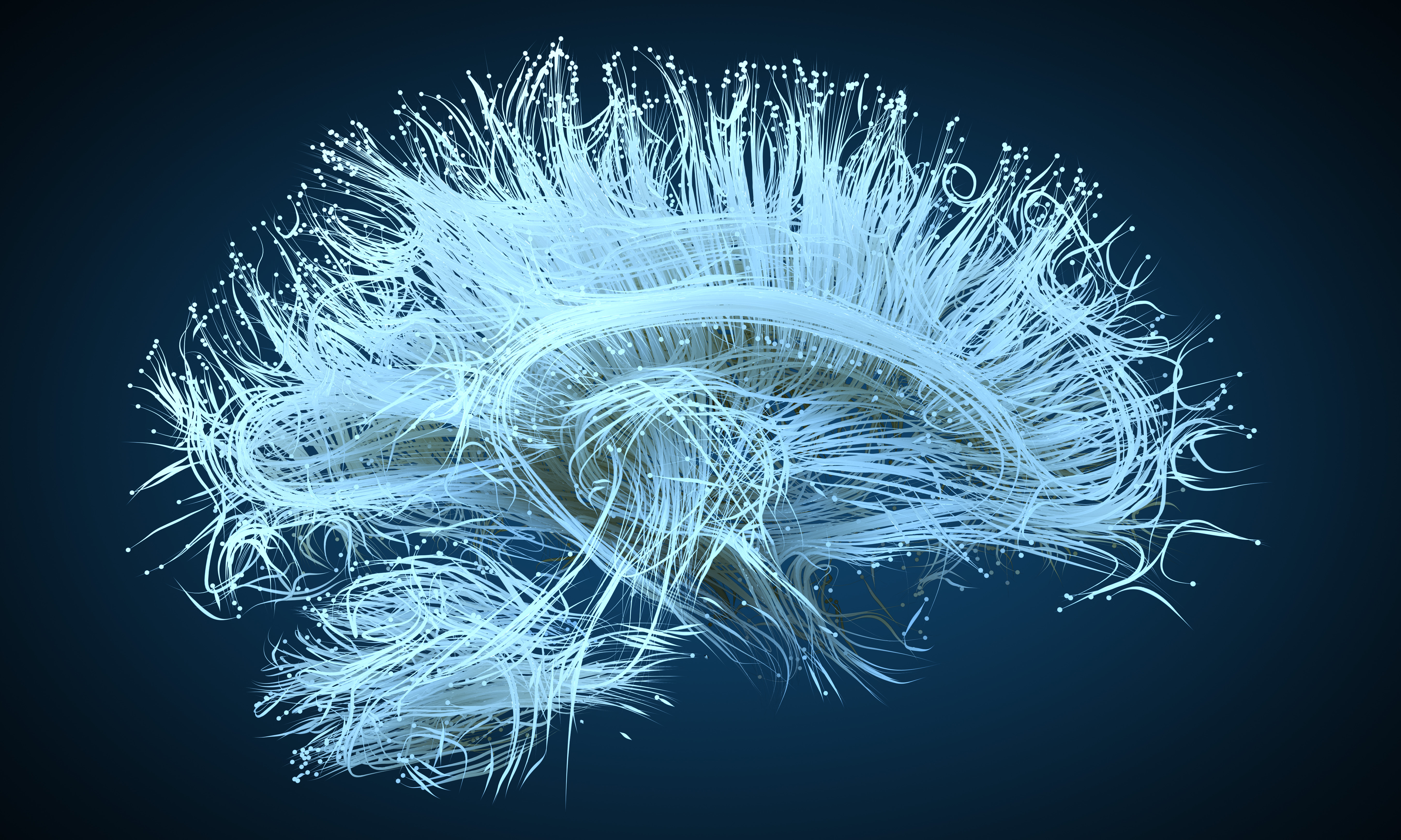 Towards Healthy Brain Aging: Bridging Biology, Lifestyle, and Therapeutics