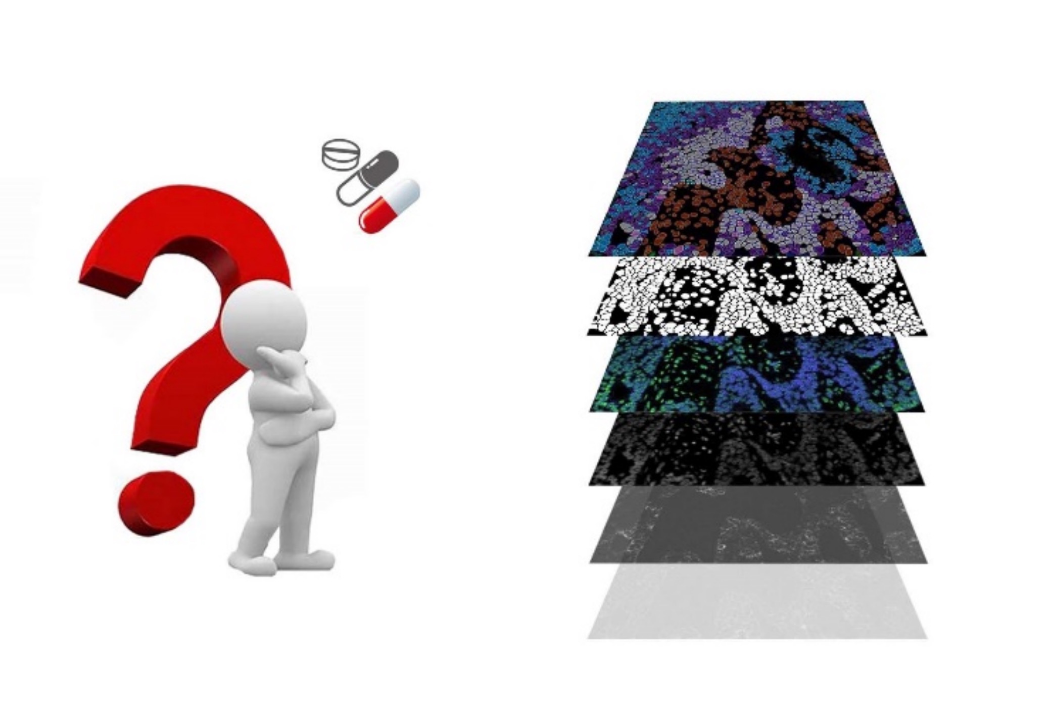 A step towards understanding the tumor immune microenvironments